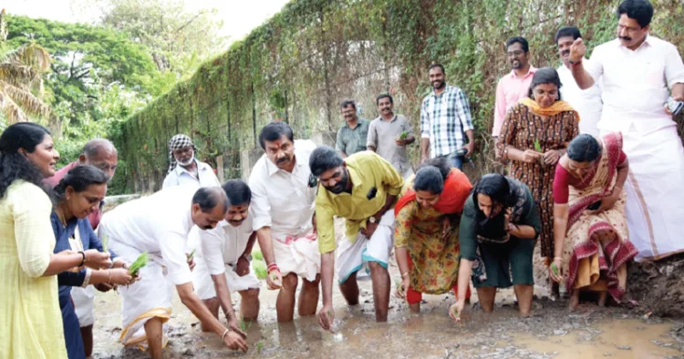 ശ്രീപത്മനാഭസ്വാമി ക്ഷേത്രത്തിലെ നിറപുത്തരിക്കായി പുത്തരിക്കണ്ടത്ത് മേയര്‍ വി.വി. രാജേഷിന്റെ നേതൃത്വത്തില്‍ ഞാറ് നടുന്നു