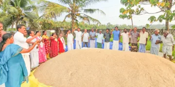 നെല്ല് സംഭരിക്കാത്തതില്‍ പ്രതിഷേധിച്ച് നെല്‍കര്‍ഷക സംരക്ഷണ സമിതിയുടെ നേതൃത്വത്തില്‍ നെല്‍ക്കൂനയ്ക്ക് ചുറ്റുംനിന്ന് കര്‍ഷക സംരക്ഷണ പ്രതിജ്ഞയെടുക്കുന്നു