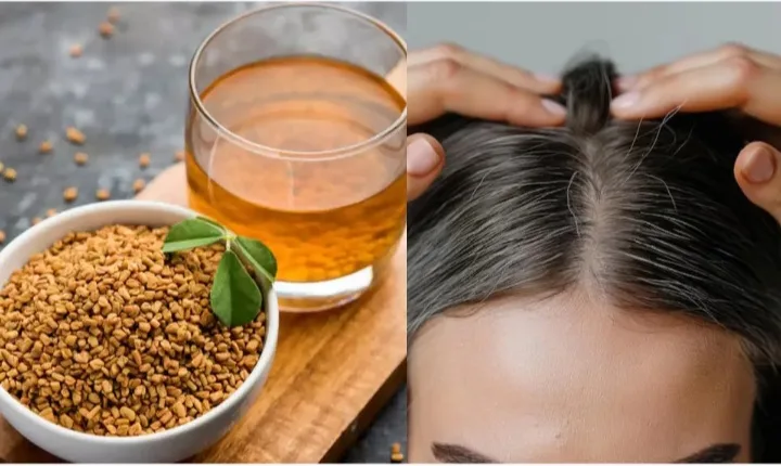 നരച്ച മുടി കറുപ്പിക്കാൻ ഉലുവ എങ്ങനെ ഉപയോഗിക്കാം, കഴിക്കുന്നത് മുതൽ തേയ്‌ക്കുന്നത് വരെ, നിങ്ങൾക്ക് ഈ നിരവധി ഗുണങ്ങൾ ലഭിക്കും