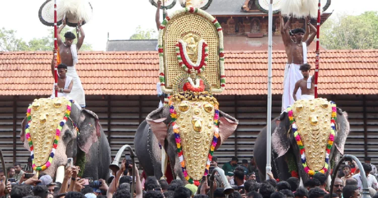 ചെമ്പുക്കാവ് ഭഗവതിയുടെ തിടമ്പേറ്റി തെച്ചിക്കോട്ടുകാവ് രാമചന്ദ്രന്‍