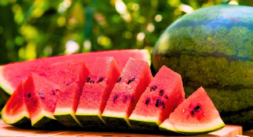 ബിരിയാണിയ്‌ക്ക് പിന്നാലെ തണ്ണിമത്തൻ ; ഒരു കുടുംബത്തിലെ നാല് പേർ മരിച്ചു ; ഭക്ഷ്യവിഷബാധയേറ്റെന്ന് സംശയം