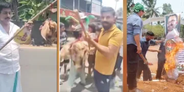 ആടിന്റെ തലയറുത്ത് കെട്ടിത്തൂക്കി മുസ്ലിംലീഗിന്റെ തെരഞ്ഞെടുപ്പ് വിജയാഹ്ലാദപ്രകടനം, കാസര്‍കോട് കെ. സുരേന്ദ്രന്റെ പ്രചാരണ ബോര്‍ഡുകള്‍ ബോംബെറിഞ്ഞ് തകര്‍ത്ത നിലയില്‍