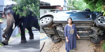 ഇടഞ്ഞോടിയ ശിവംലക്ഷ്മി അയ്യപ്പന്, ആനയുടെ ആക്രമണത്തില് തകര്ന്ന കാറിന് സമീപം സംഗീത