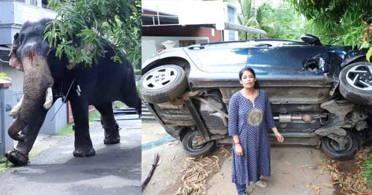 ഇടഞ്ഞോടിയ ശിവംലക്ഷ്മി അയ്യപ്പന്‍, ആനയുടെ ആക്രമണത്തില്‍ തകര്‍ന്ന കാറിന് സമീപം സംഗീത