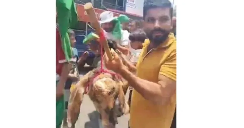 ആടിന്റെ തലയറുത്ത് മുസ്ലീം ലീഗ് പ്രവര്‍ത്തകരുടെ ക്രൂരമായ തെരഞ്ഞെടുപ്പ് വിജയാഹ്ലാദം: പൊലീസ് കേസെടുത്തു