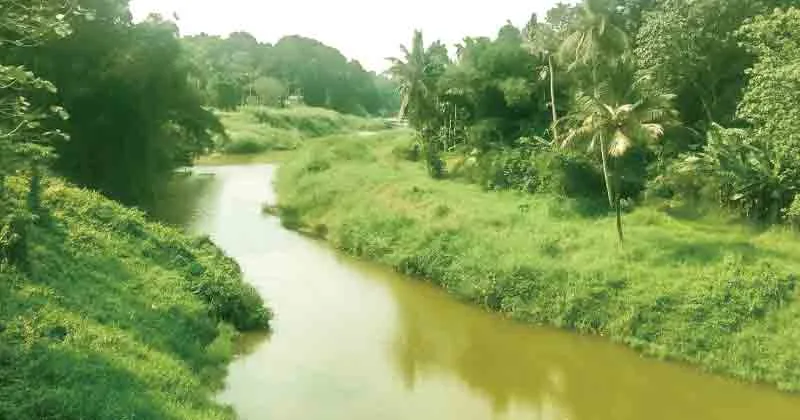 ആദി പമ്പ തോടായി മാറി; നദീ മധ്യത്തില്‍ മണ്‍പുറ്റ്, നദീതീരത്തെ കിണറുകളില്‍ പോലും വെള്ളമില്ലാത്ത അവസ്ഥ