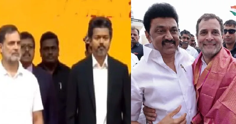 തമിഴ്നാട്ടിൽ രാഹുൽ ഗാന്ധിക്ക് 'കട്ടപ്പ' പ്രതിച്ഛായ: സ്റ്റാലിനെ തള്ളി വിജയിക്കൊപ്പം