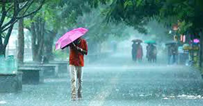 മണ്സൂണ് പാത സുഗമമായി; തോരാമഴയ്ക്ക് കാരണം ജെറ്റ് സ്ട്രീമും എംജെഒയും