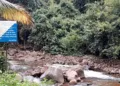വിലങ്ങാട് - വയനാട് ചുരം ഇല്ലാത്ത റോഡ് കടന്നുപോകുന്ന വിലങ്ങാട് - വയനാട് അതിര്‍ത്തിയിലെ പുല്ലുവായ് പുഴ