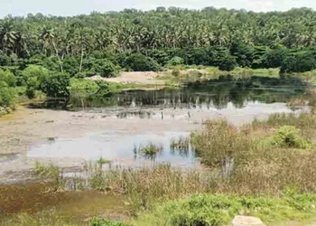കോട്ടുകാല് പുന്നക്കുളത്ത് നിന്ന് കരിങ്കല്ല് മാറ്റിയ ശേഷം രൂപപ്പെട്ട വിശാലമായ കുളം