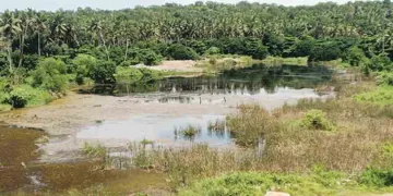 കോട്ടുകാല്‍ പുന്നക്കുളത്ത് നിന്ന് കരിങ്കല്ല് മാറ്റിയ ശേഷം രൂപപ്പെട്ട വിശാലമായ കുളം
