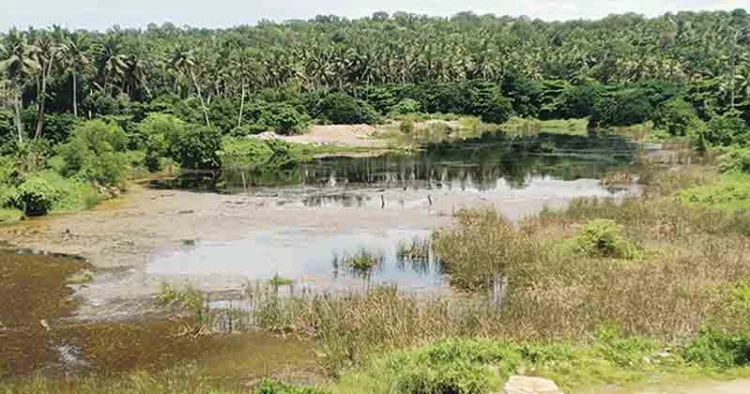 കോട്ടുകാല്‍ പുന്നക്കുളത്ത് നിന്ന് കരിങ്കല്ല് മാറ്റിയ ശേഷം രൂപപ്പെട്ട വിശാലമായ കുളം