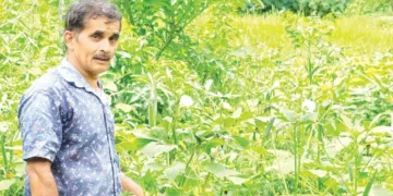 തുളസിദാസ് കൃഷിയിടത്തില്