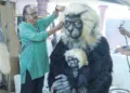 ജിനനും ബിനു ഹരിദാസും ഓണം വാരാഘോഷ ഫ്‌ളോട്ടുകളുടെ അവസാന മിനുക്ക് പണിയില്‍