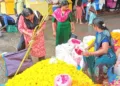 ഉയര്‍ന്ന വിലയ്‌ക്കൊപ്പം കാലവര്‍ഷം കൂടി ശക്തമായതോടെ മന്ദതയിലായ പൂവിപണി. എറണാകുളം തൃപ്പൂണിത്തുറയില്‍ നിന്നുള്ള കാഴ്ച