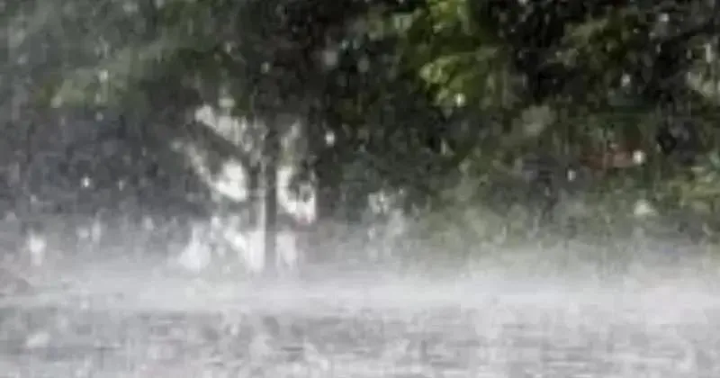 പ്രളയ ഭീതിയില് 4 ജില്ലകള്, മഴക്കെടുതിയില് 8 മരണം, 9 ജില്ലകളില് ചുവപ്പ് ജാഗ്രത