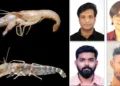 പുതിയ ചെമ്മീന്‍ ഇനങ്ങളായ ആല്‍ഫിയസ് ഹരി, ആല്‍ഫിയസ് വെമ്പനാടി. ഡോ. ദീപക് ജോസ്, ഡോ. സമീറ ഷംസുദ്ദീന്‍, ഡോ. അക്ഷയ് ഉണ്ണികൃഷ്ണന്‍, കൈമകുളങ്ങര വിഷ്ണു