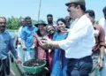 വേമ്പനാട് കായലില്‍ കറുത്ത പുനരുജ്ജീവനം ലക്ഷ്യമിട്ട് സിഎംഎഫ്ആര്‍ഐ നടപ്പാക്കുന്ന പദ്ധതിയുടെ ഭാഗമായ വിളവെടുപ്പ് ഡയറക്ടര്‍ ഡോ. ഗ്രിന്‍സണ്‍ ജോര്‍ജ് ഉദ്ഘാടനം ചെയ്യുന്നു