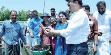 വേമ്പനാട് കായലില്‍ കറുത്ത പുനരുജ്ജീവനം ലക്ഷ്യമിട്ട് സിഎംഎഫ്ആര്‍ഐ നടപ്പാക്കുന്ന പദ്ധതിയുടെ ഭാഗമായ വിളവെടുപ്പ് ഡയറക്ടര്‍ ഡോ. ഗ്രിന്‍സണ്‍ ജോര്‍ജ് ഉദ്ഘാടനം ചെയ്യുന്നു