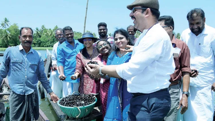 വേമ്പനാട് കായലില്‍ കറുത്ത പുനരുജ്ജീവനം ലക്ഷ്യമിട്ട് സിഎംഎഫ്ആര്‍ഐ നടപ്പാക്കുന്ന പദ്ധതിയുടെ ഭാഗമായ വിളവെടുപ്പ് ഡയറക്ടര്‍ ഡോ. ഗ്രിന്‍സണ്‍ ജോര്‍ജ് ഉദ്ഘാടനം ചെയ്യുന്നു