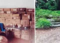 കൊടുങ്ങല്ലൂര്‍ ബൈപാസ് സൗന്ദര്യവല്‍ക്കരണത്തിനായി 1.16 കോടി രൂപ ചെലവഴിച്ച് വാങ്ങിയ വൈദ്യുതോപകരണങ്ങള്‍ നശിക്കുന്നു.